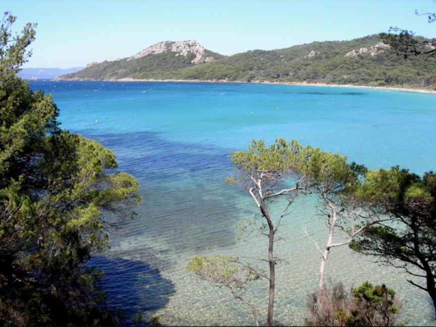 Superbe T2 Proche Des Plages Et Des Commerces Hyères Exterior foto